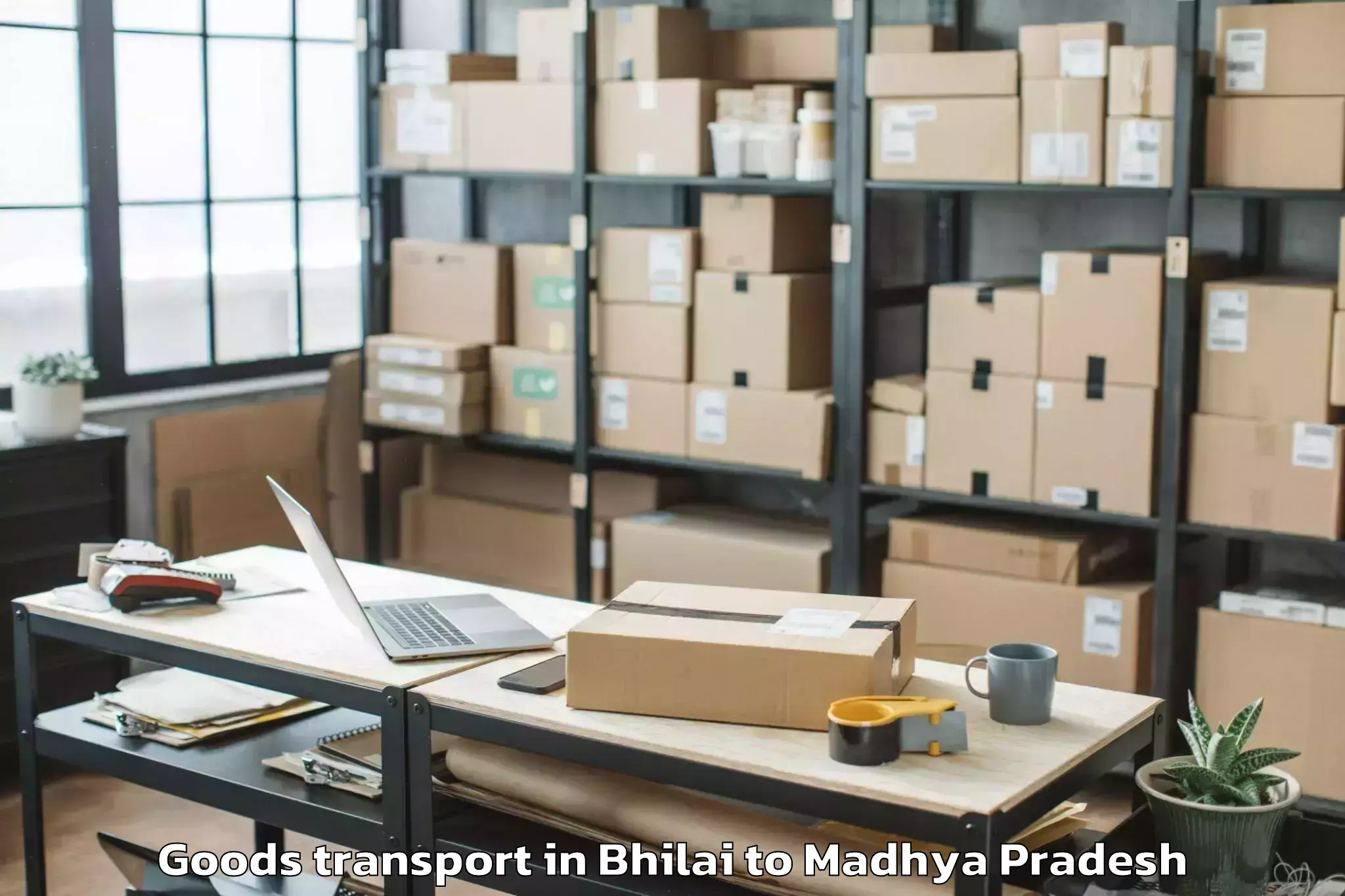 Reliable Bhilai to Dewas Goods Transport